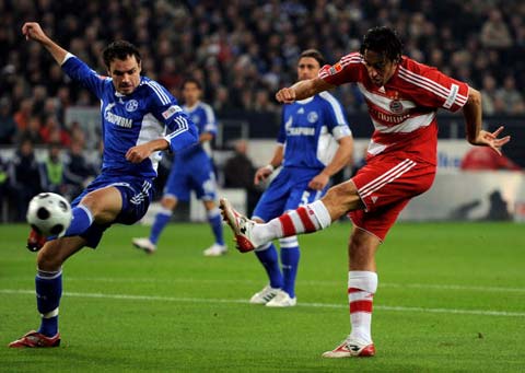 不仅是一款 不仅是一款